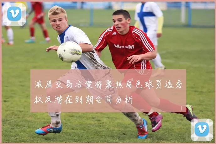 浓眉交易方案将聚焦角色球员选秀权及潜在到期合同分析