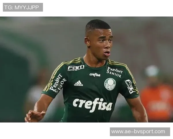 帕尔梅拉斯主席热情呼唤热苏斯归队期待重聚的美好时刻