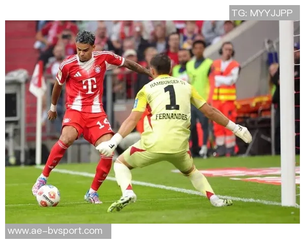 武什科维奇蝎子摆尾进球荣膺德甲年度最佳进球称号